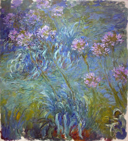 Agapanthus, Claude Monet